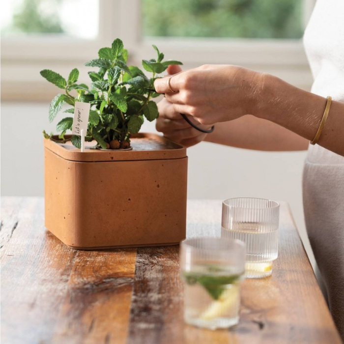 Curver Ghiveci de flori de fermă [2]