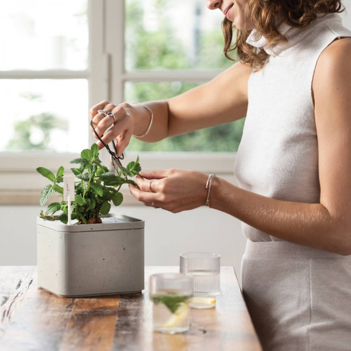 Curver Ghiveci de flori de fermă [2]