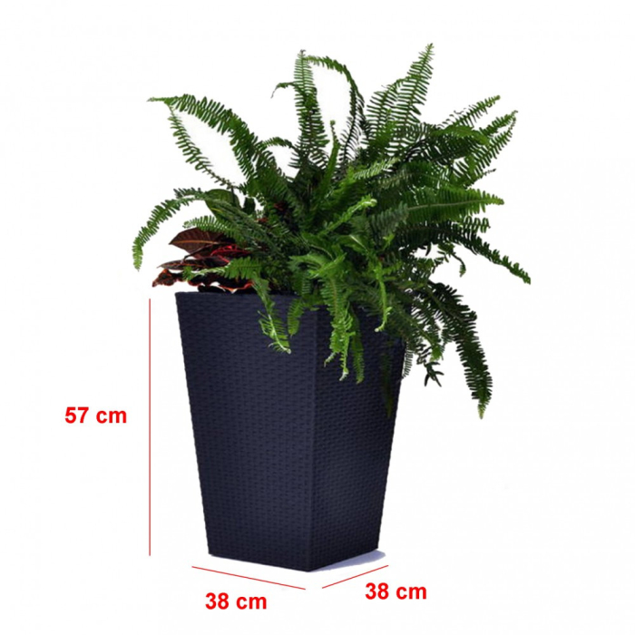 Curver Ghiveci Rattan M, grafit [2]