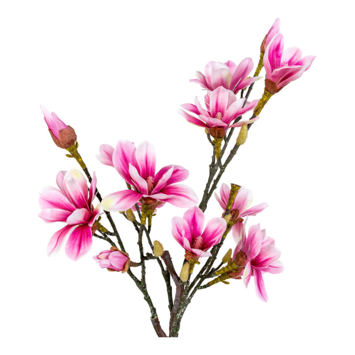 House Nordic Arbore de magnolie - plantă artificială 74 cm [4]