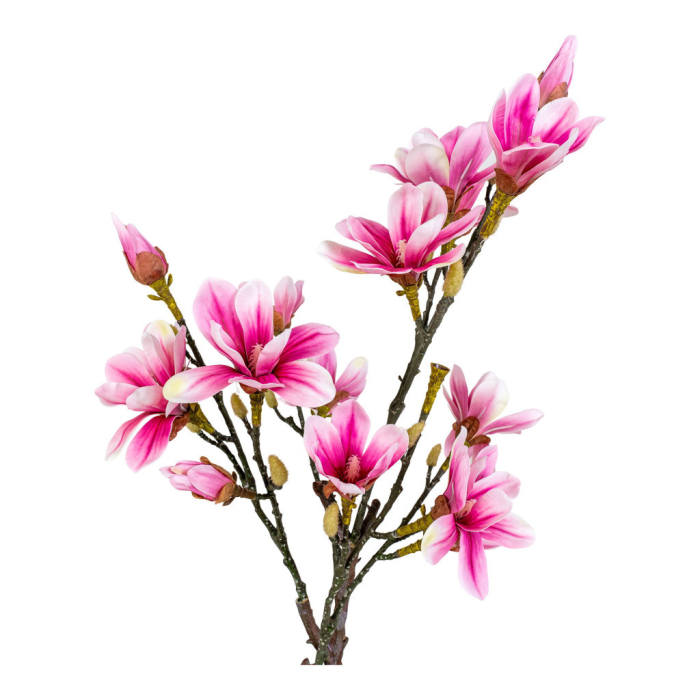 House Nordic Arbore de magnolie - plantă artificială 74 cm [3]