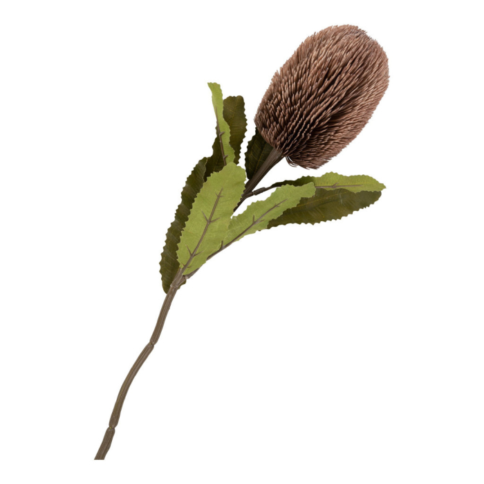 House Nordic Buchet de flori artificiale Protea 65 cm [5]