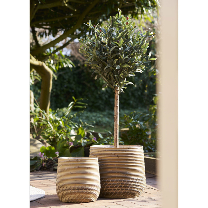 House Nordic Măslin plantă artificială 120 cm [2]