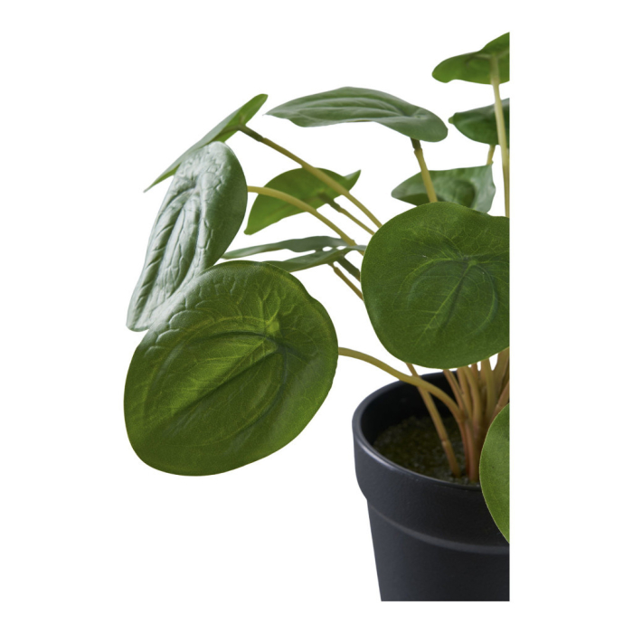 House Nordic Pilea plantă artificială 28 cm [3]