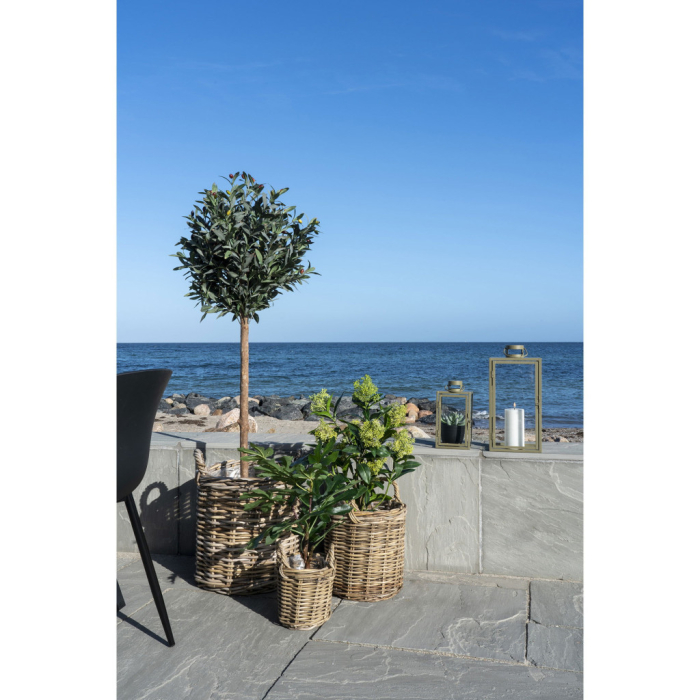 House Nordic Skimmia lemn plantă artificială 75 cm [2]