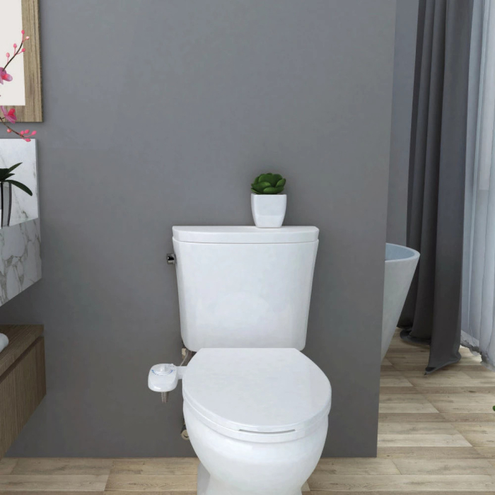 Leziter Bideu montat pe toaletă [7]