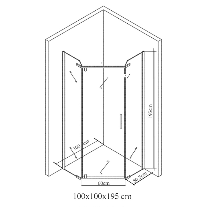 Leziter Celtic 100x100 cm cabină de duș pentagonală fără tavă [3]