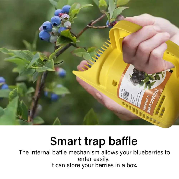 Leziter Culegător de fructe Fruvio Berry [3]