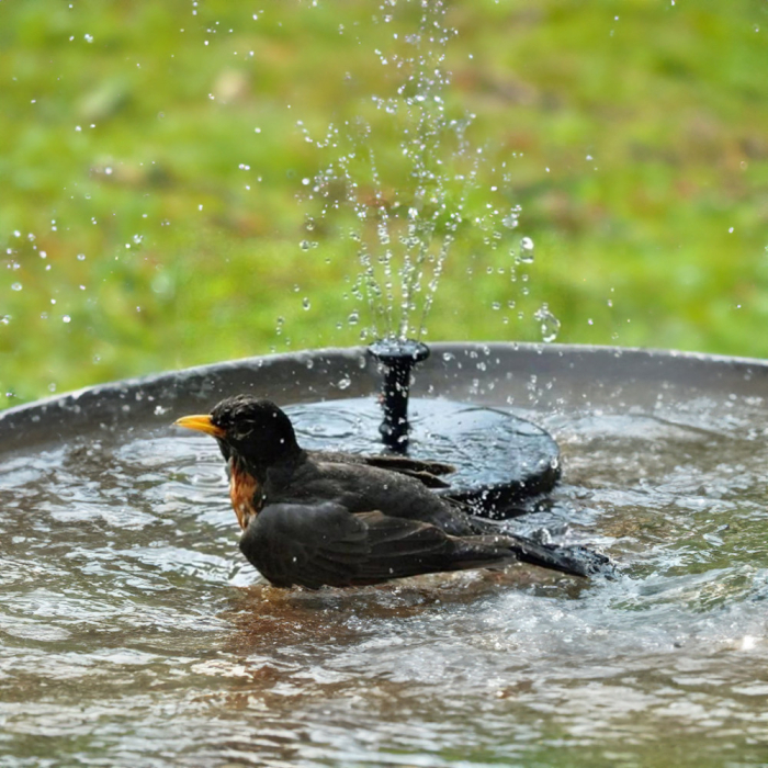 Leziter Fântână solară 13 cm [4]