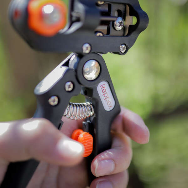 Leziter Foarfece și foarfece pentru pomi fructiferi Reppex [5]