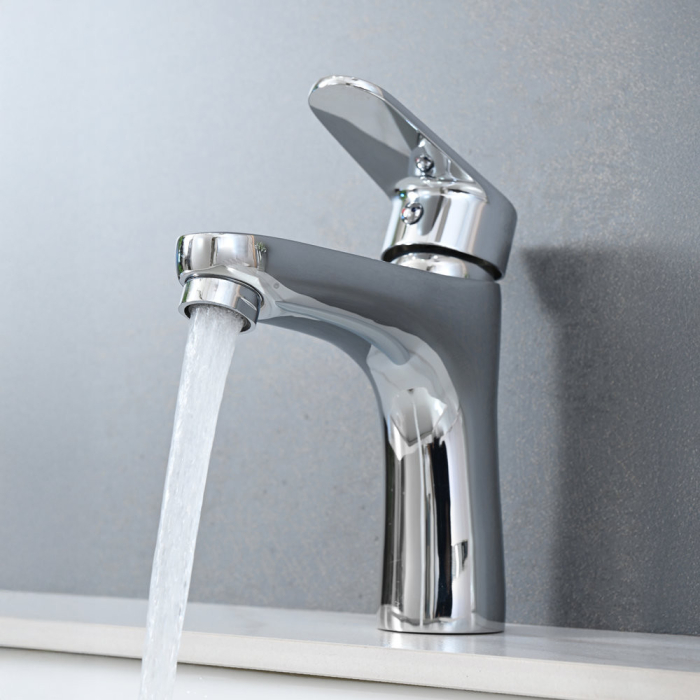 Leziter Robinet pentru chiuvetă Evos [5]