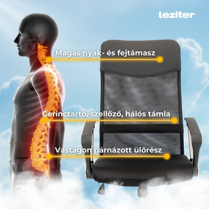 Leziter Scaun pivotant ergonomic de birou Fit, negru [6]