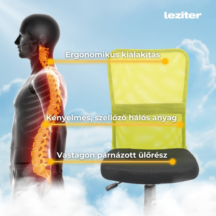 Leziter Scaun rotativ de birou [5]