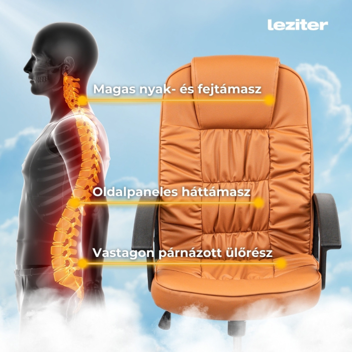 Leziter Scaun rotativ de birou Bristol [6]