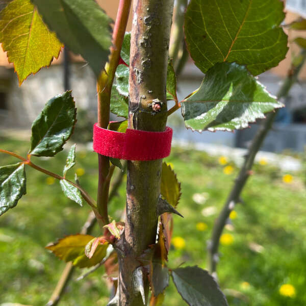 Leziter Set de legare a plantelor reutilizabil din 3 piese Lenders [3]