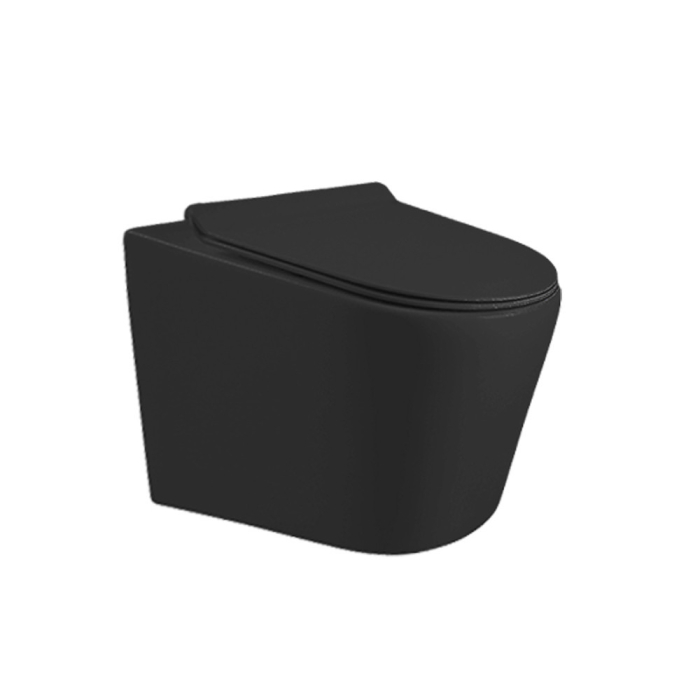 Leziter Set rezervor WC montat pe perete Roya Ride 082B [8]