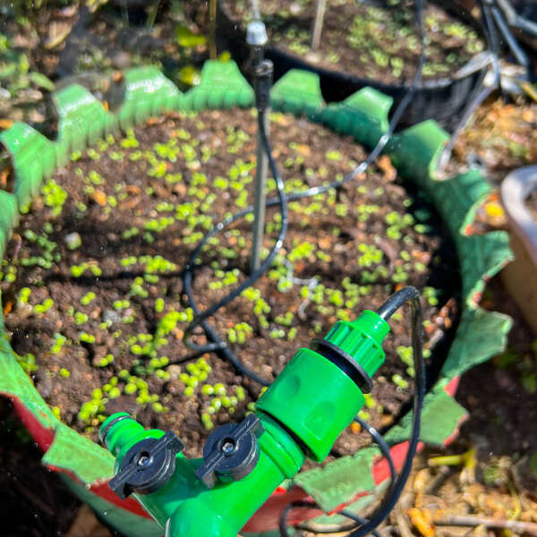 Leziter Sistem de irigare a grădinii Waterly [4]