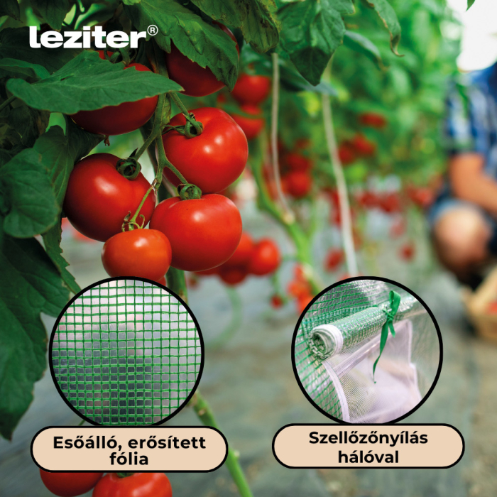 Leziter Solar gradina 200x250x400 cm, verde (cadru ranforsat + folie) [5]