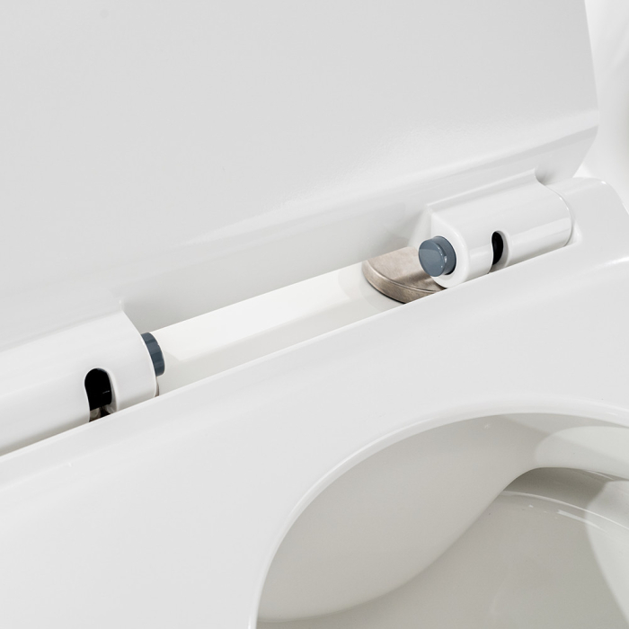 Leziter Toaletă Ride montată pe perete, fără margine [10]