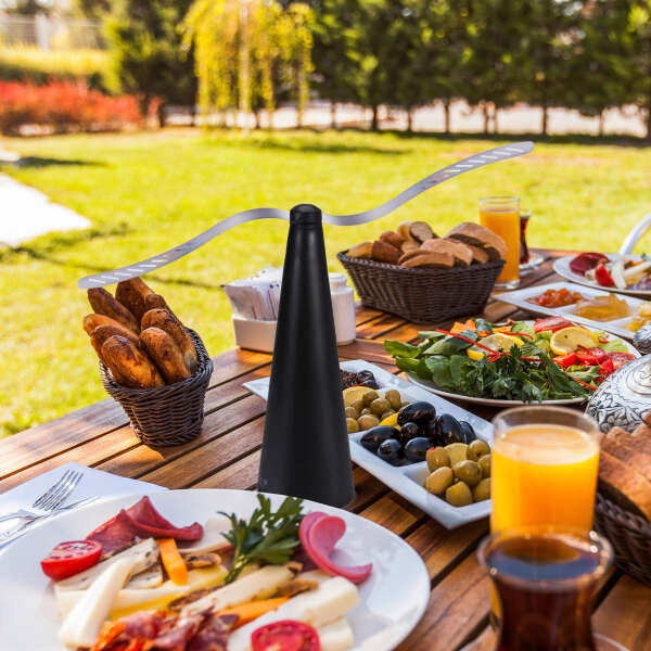 Leziter Ventilator repelent de insecte pentru desktop Pestery [4]