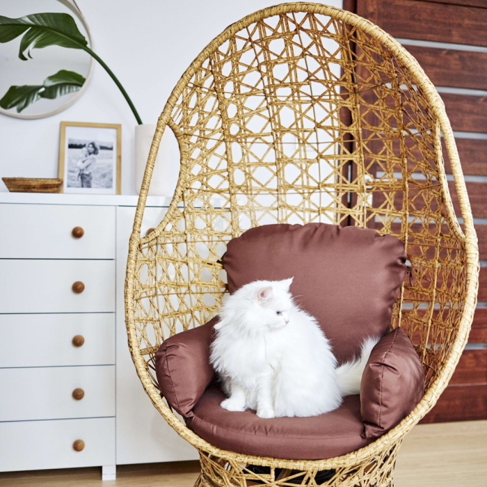 Mirpol Scaun din răchită POSITANO [3]