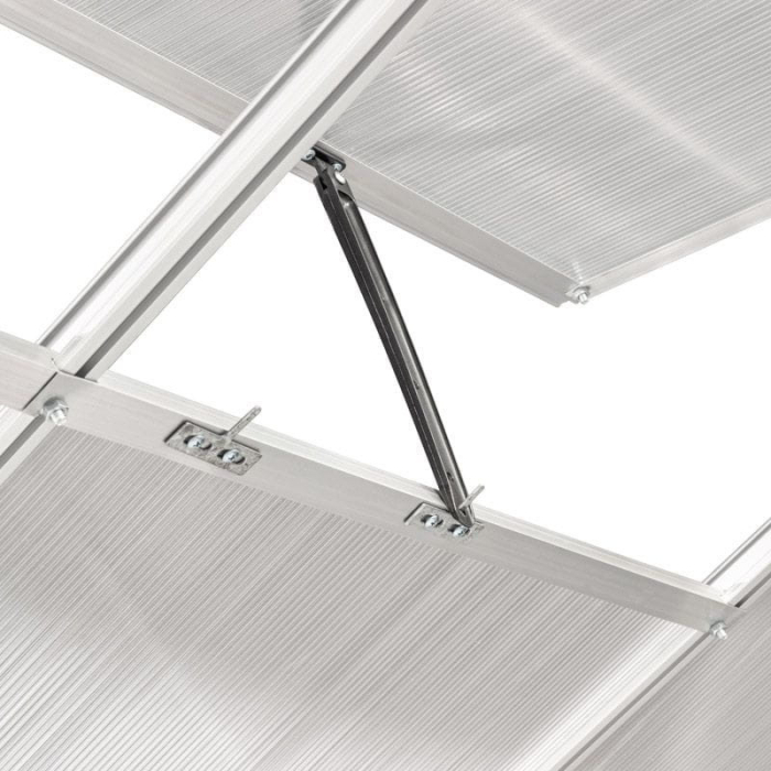 Mirpol Seră din policarbonat 190 x 250 x 124/195 cm [8]