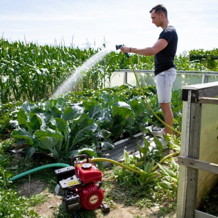 Al-Ko Pompă de benzină BMP 14000 [2]