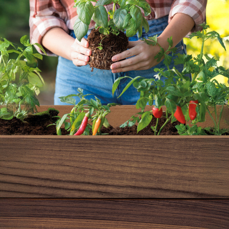 Curver Cutie decorativă de grădină din plastic, cu raft inferior, 110 l [3]