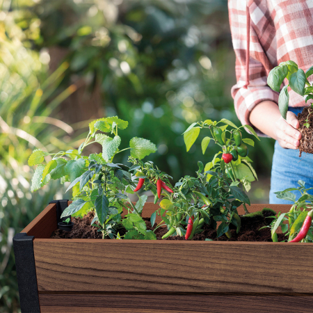 Curver Cutie decorativă de grădină din plastic, cu raft inferior, 110 l [4]