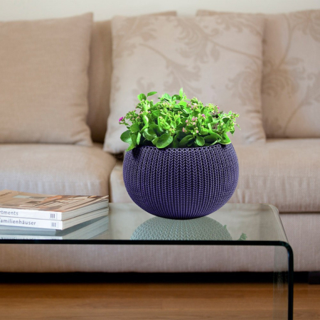 Curver Ghiveci Cozy M cu set de agățat, violet închis [2]