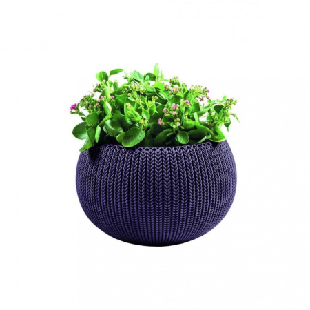 Produse temporar indisponibile - Curver Ghiveci Cozy M cu set de agățat, violet închis