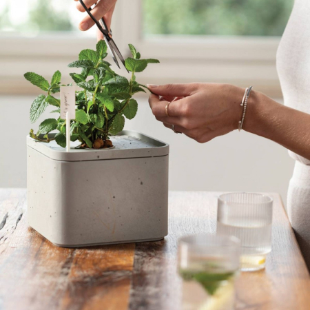 Curver Ghiveci de flori de fermă [2]