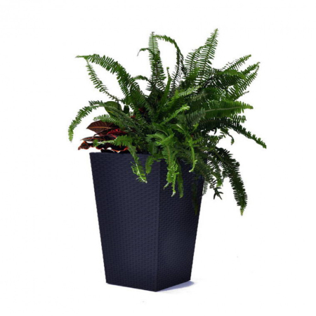 Produse temporar indisponibile - Curver Ghiveci Rattan M, grafit