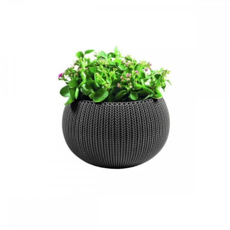 Produse temporar indisponibile - Curver Ghiveci suspendat din plastic Cozy M, maro