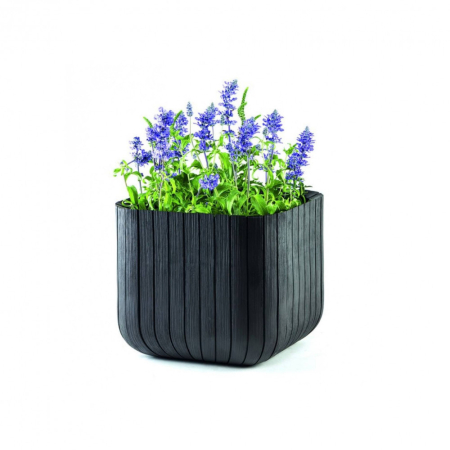 Curver Jardinieră cub mare [2]