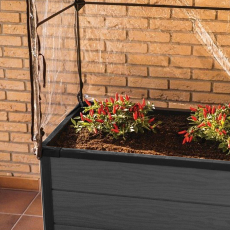 Curver Pat de flori cu seră de arțar [3]