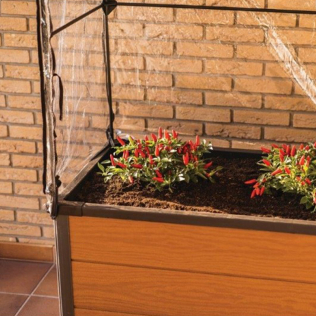 Curver Pat de flori cu seră de arțar [3]