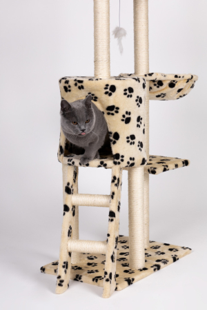 Homelux Suport de zgâriat pentru pisici 138 cm bej [7]