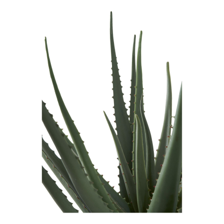 House Nordic Aloe Vera plantă artificială 51 cm [3]
