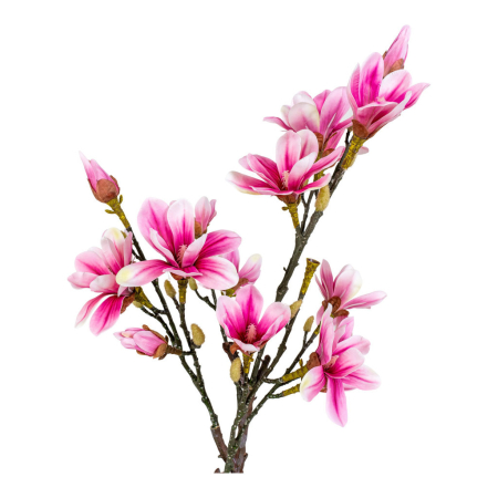 House Nordic Arbore de magnolie - plantă artificială 74 cm [2]