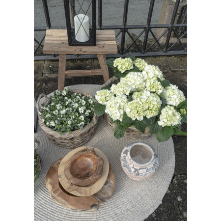 House Nordic Covor Menorca 120 cm sisyp [5]