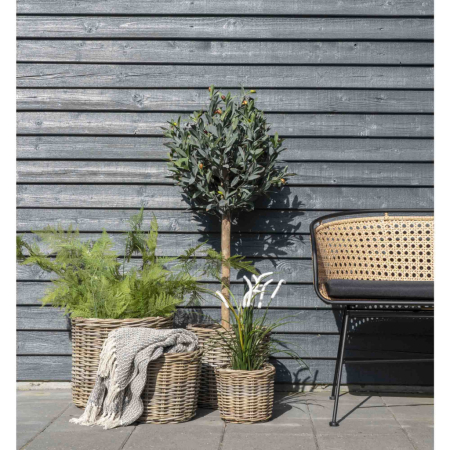 House Nordic Pătură Cort, bumbac, gri închis-alb, model C 130x160 cm [6]