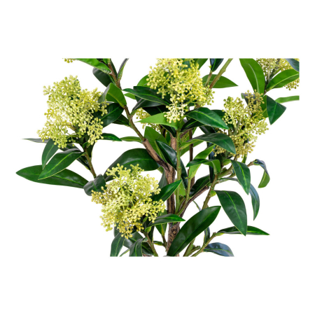 House Nordic Skimmia lemn plantă artificială 75 cm [4]