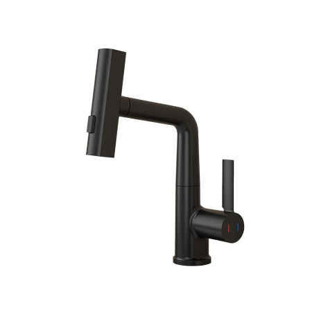 Konyha - Leziter Robinet mixer pentru chiuvetă Mara cu cap multifuncțional negru