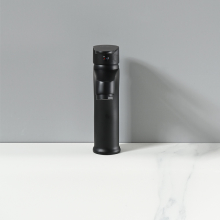 Leziter Robinet lavoar Colly negru [4]