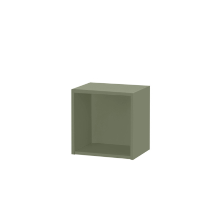 Mobilier pentru living - Leziter Boxie dulap de perete deschis 40x40x27 cm verde