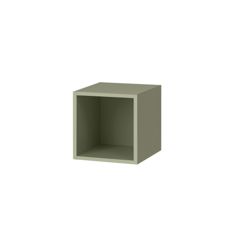Mobilier pentru living - Leziter Boxie dulap de perete deschis 40x40x37 cm verde