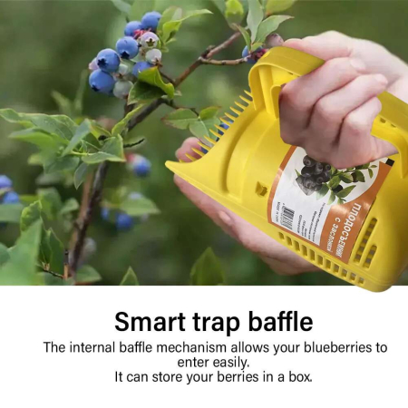 Leziter Culegător de fructe Fruvio Berry [2]