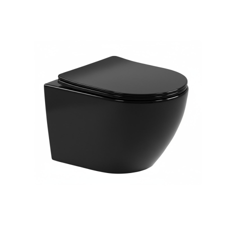 Leziter Delano fali rimless WC soft-close ülőkével [0]