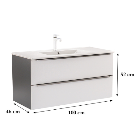 Leziter Dulap inferior Vario Trim 100 cu lavoar [2]